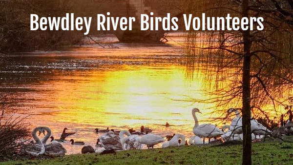Bewdley River Birds Volunteers